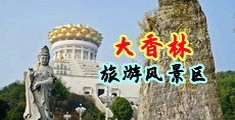 最骚黄片中国浙江-绍兴大香林旅游风景区